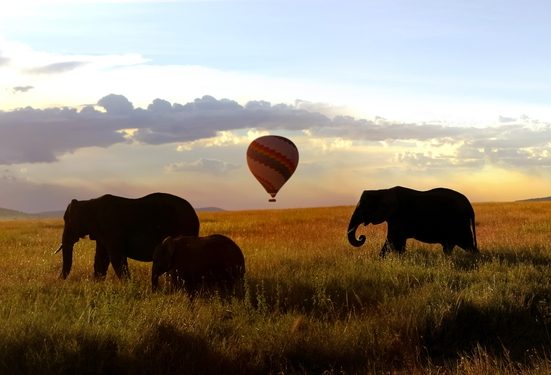 South African discoveries
