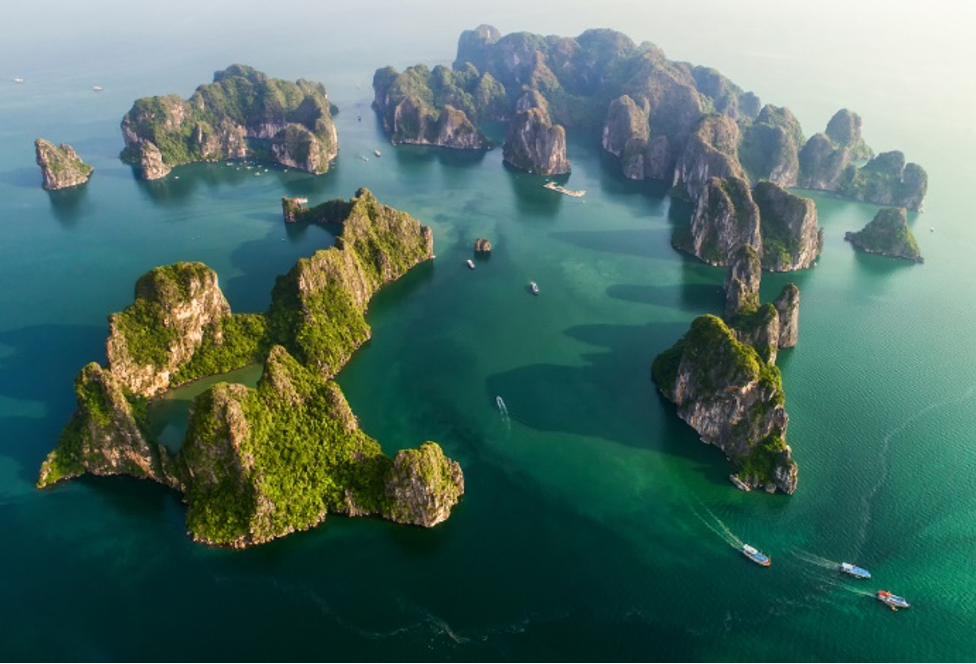 Vietnamese discoveries